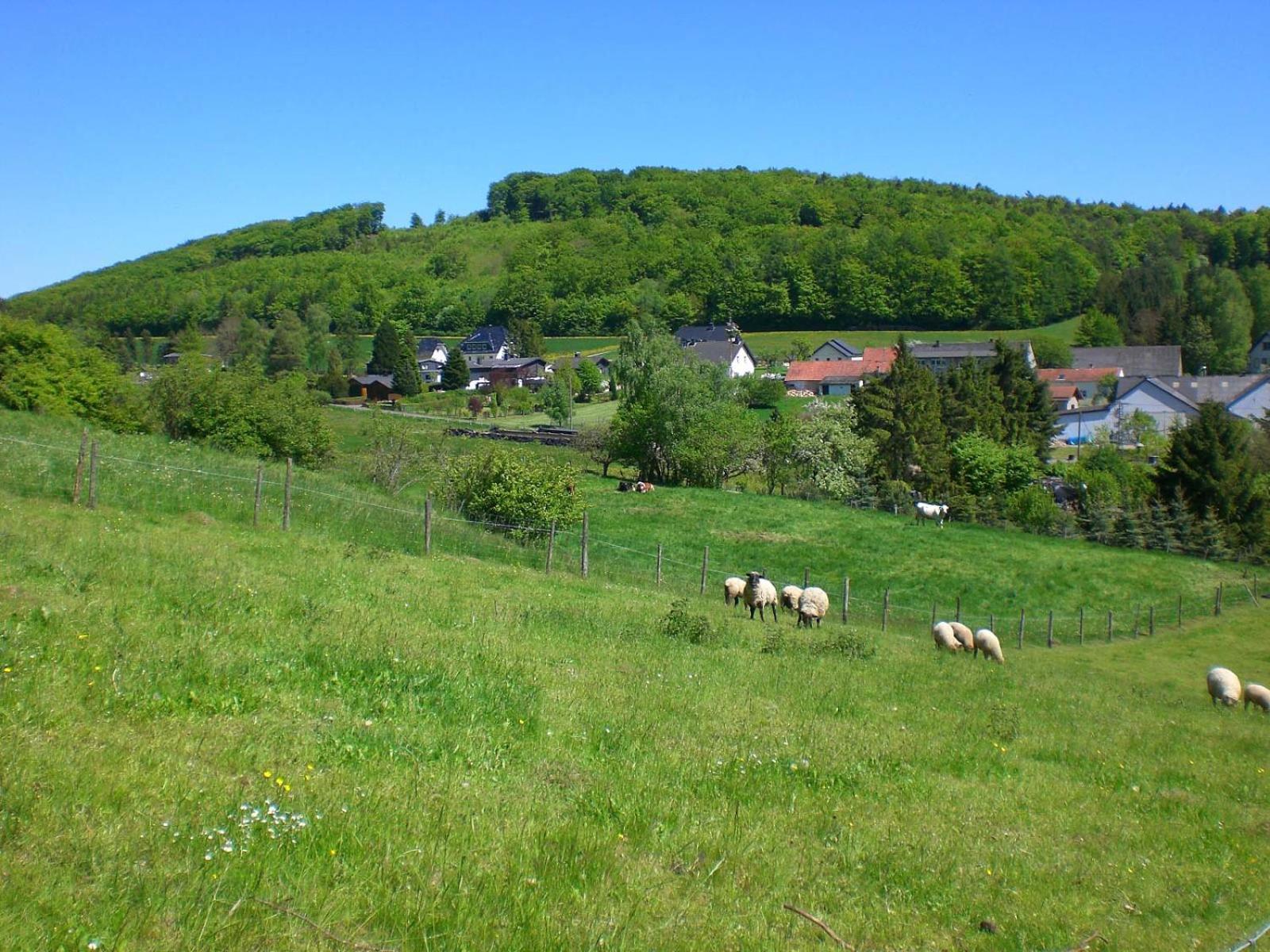 Ferienhof An Der Lay Kerpen  Exterior photo